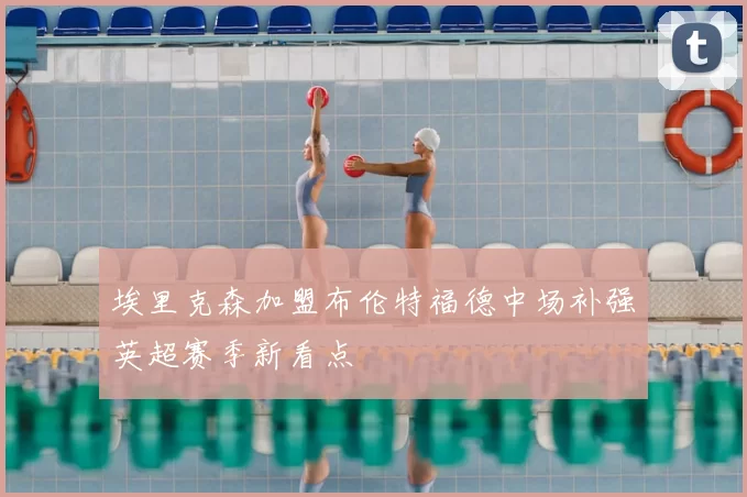 埃里克森加盟布伦特福德中场补强英超赛季新看点