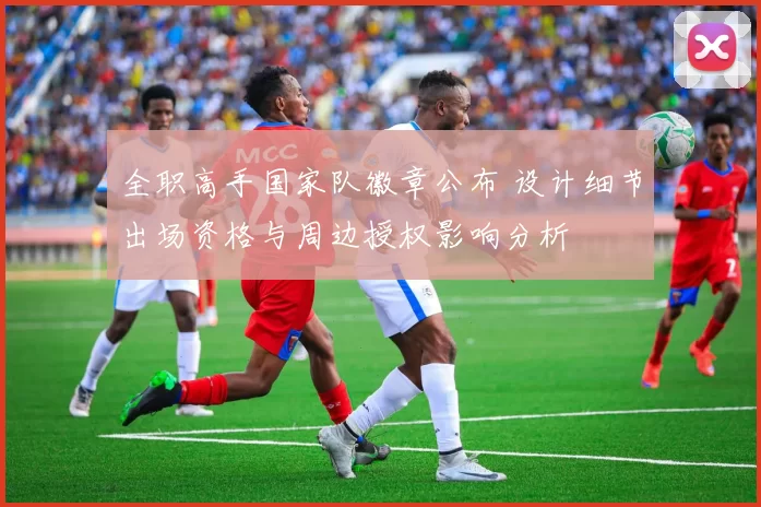 全职高手国家队徽章公布 设计细节出场资格与周边授权影响分析