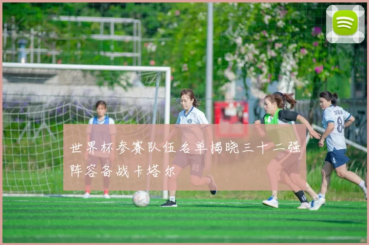 世界杯参赛队伍名单揭晓三十二强阵容备战卡塔尔