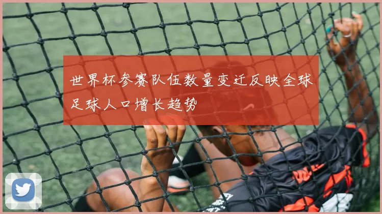 世界杯参赛队伍数量变迁反映全球足球人口增长趋势