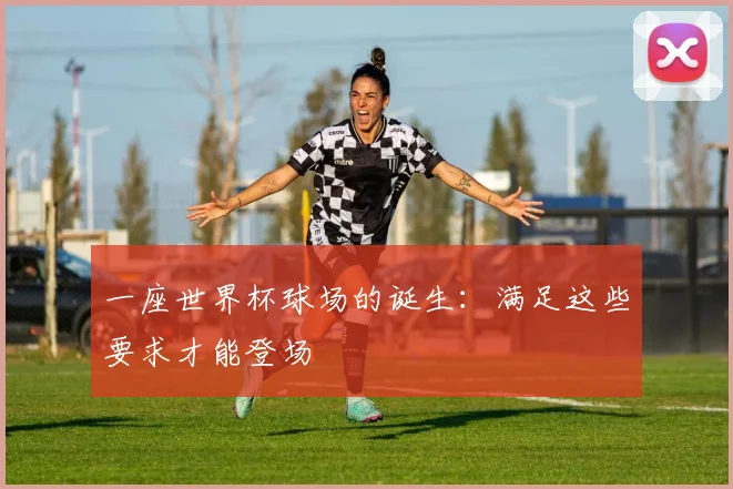 一座世界杯球场的诞生：满足这些要求才能登场