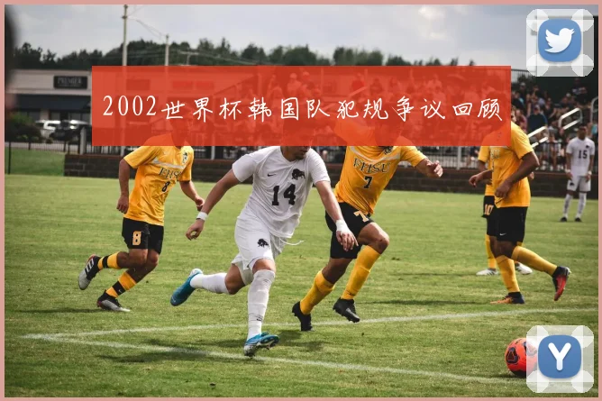 2002世界杯韩国队犯规争议回顾