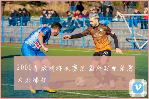 2000年欧洲杯决赛法国加时绝杀意大利捧杯