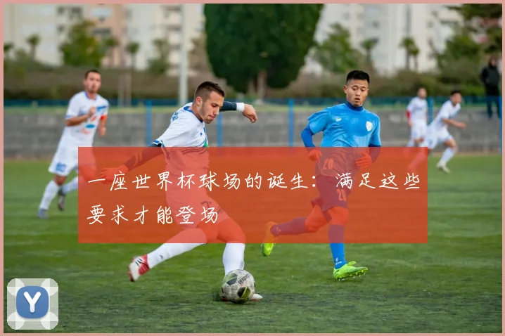 一座世界杯球场的诞生：满足这些要求才能登场